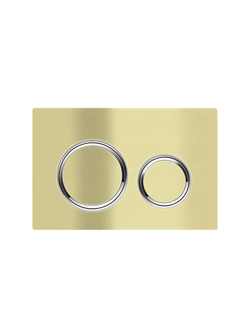 Dual Flush Plate